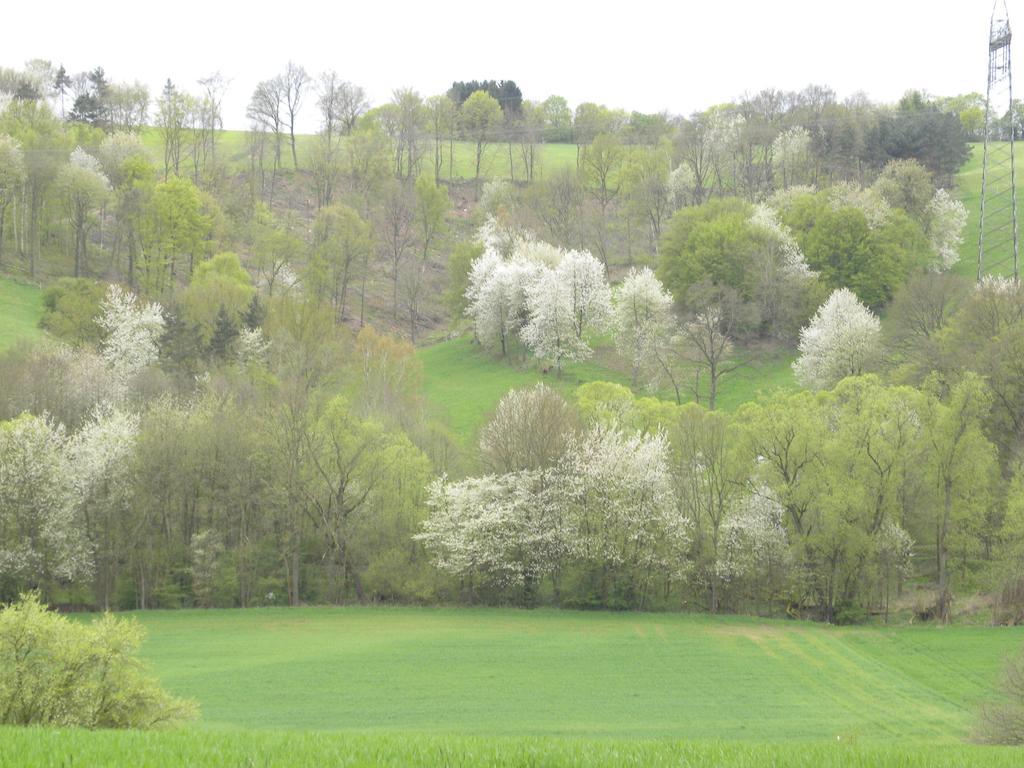 Richelsdorf Thueringer Hof酒店 外观 照片